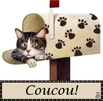 dogus B_coucou